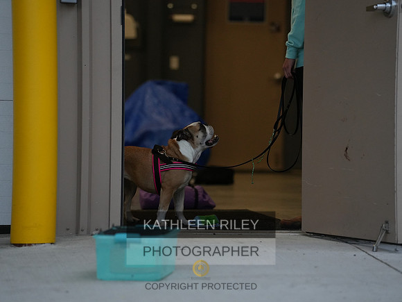 2022-KathleenRileyPhotography010
