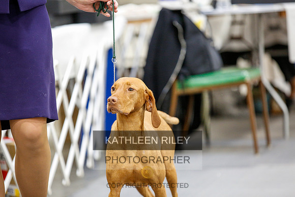 2022-KathleenRileyPhotography-2234