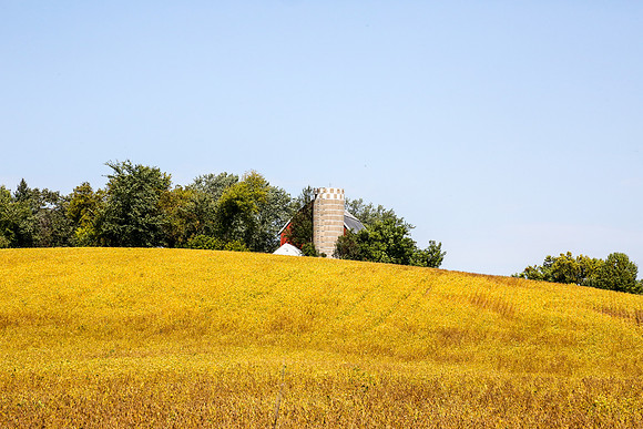 Plymouth Minnesota
