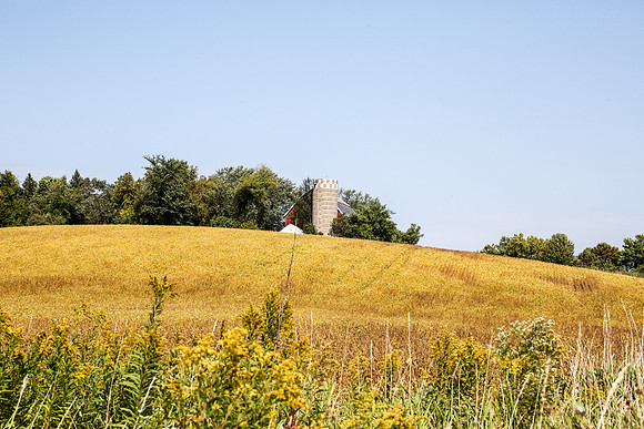 Plymouth Minnesota