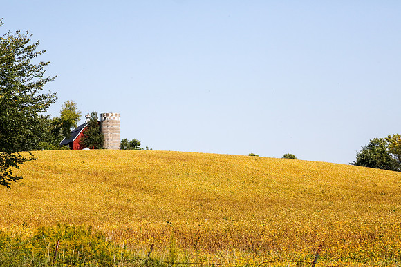 Plymouth Minnesota