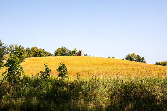 Plymouth Minnesota