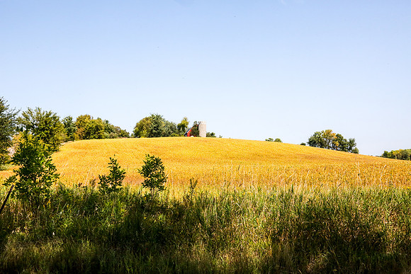 Plymouth Minnesota