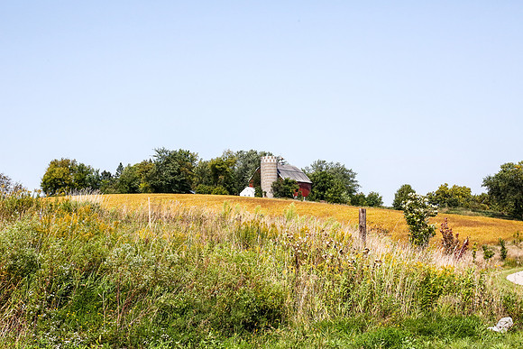 Plymouth Minnesota