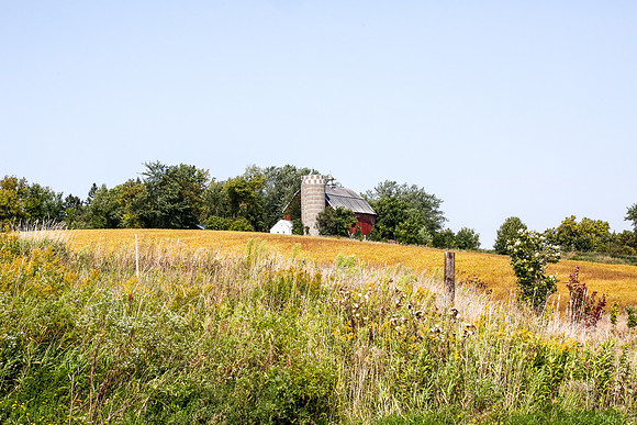 Plymouth Minnesota