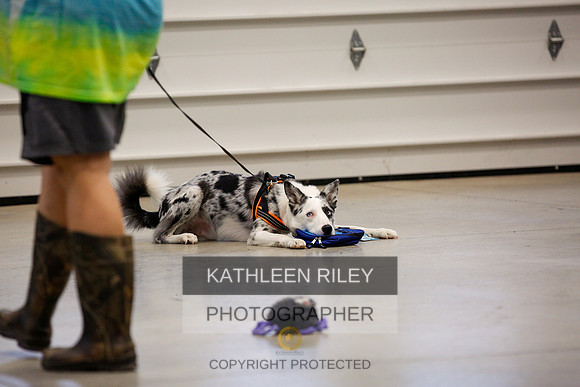 2022-KathleenRileyPhotography-7234
