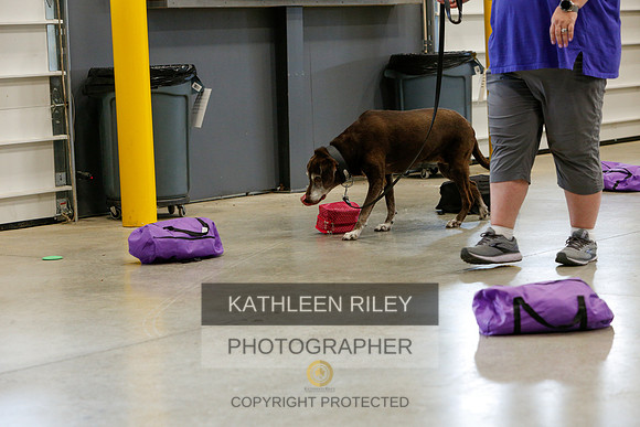 2022-KathleenRileyPhotography-5253