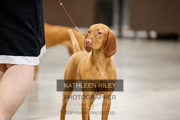 2022-KathleenRileyPhotography-2360