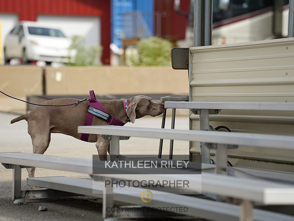 2022-KathleenRileyPhotography-05487