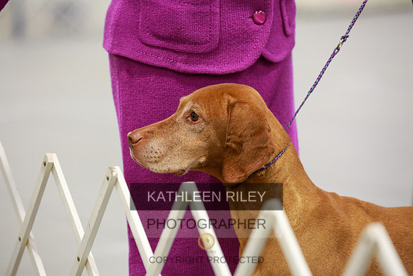 2022-KathleenRileyPhotography-8162
