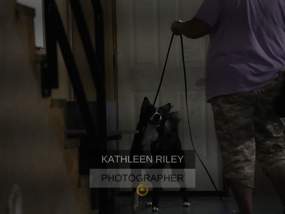 2022-KathleenRileyPhotography100