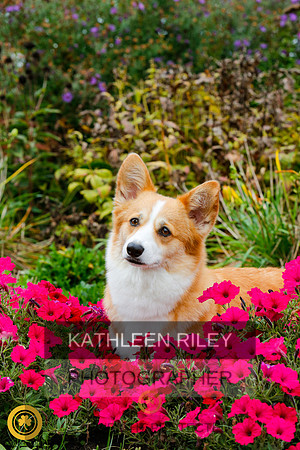 2022-KathleenRileyPhotography-4468