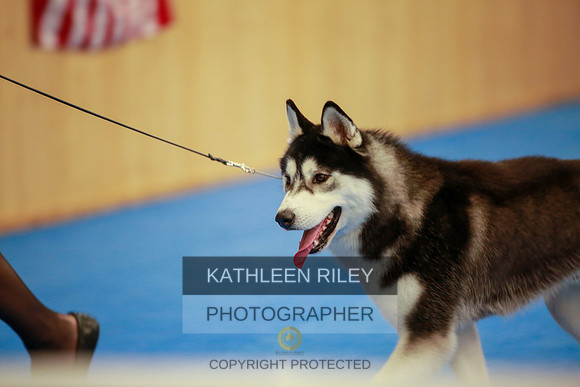 2022-KathleenRileyPhotography-5500