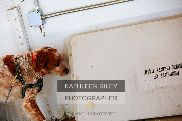 2022-KathleenRileyPhotography-9388