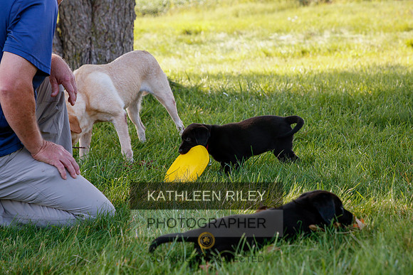 2022-KathleenRileyPhotography-5483