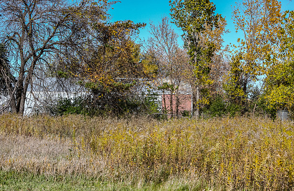 Brooklyn Park Minnesota