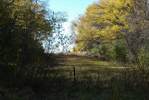Brooklyn Park Minnesota
