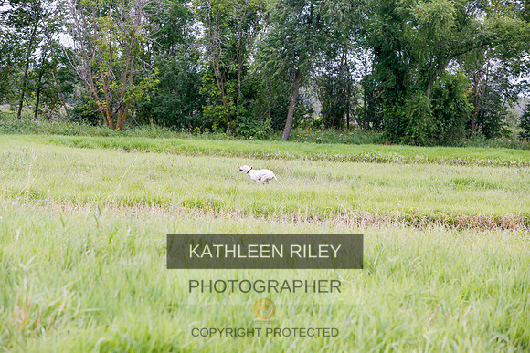 2022-KathleenRileyPhotography-3462