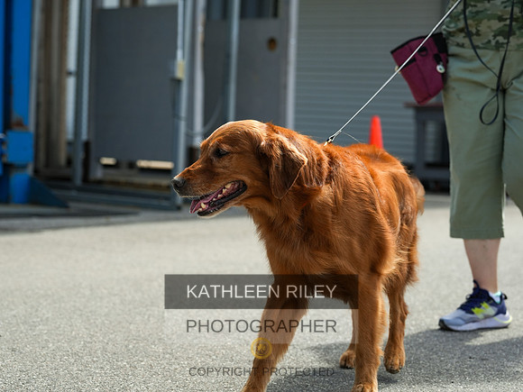 2022-KathleenRileyPhotography-04395