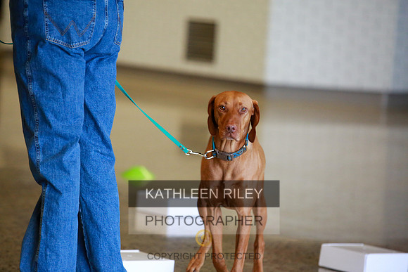 2022-KathleenRileyPhotography-7552
