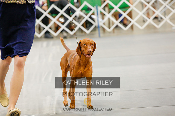 2022-KathleenRileyPhotography-1005