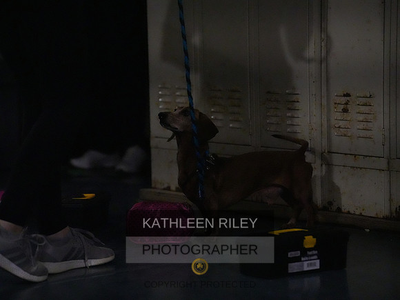 2022-KathleenRileyPhotography195