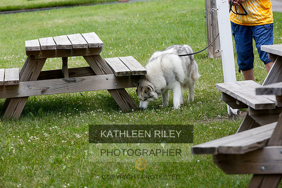 2022-KathleenRileyPhotography-9617