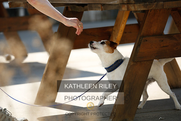 2022-KathleenRileyPhotography-2688