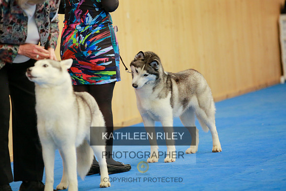 2022-KathleenRileyPhotography-5525