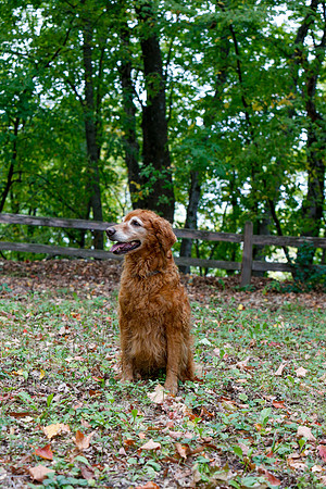 2021-KathleenRileyPhotography-5603