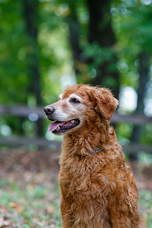 2021-KathleenRileyPhotography-5625
