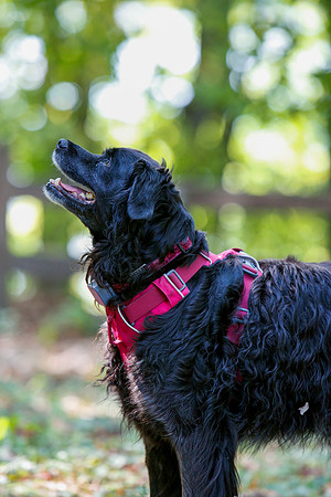 2021-KathleenRileyPhotography-6019