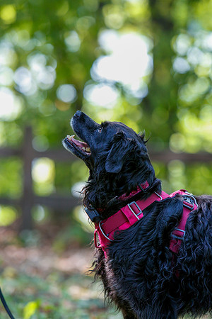2021-KathleenRileyPhotography-6020