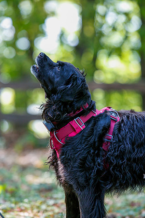 2021-KathleenRileyPhotography-6027