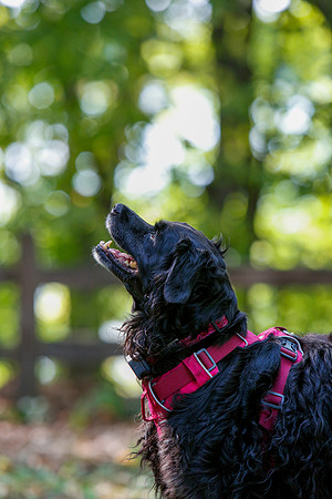 2021-KathleenRileyPhotography-6028