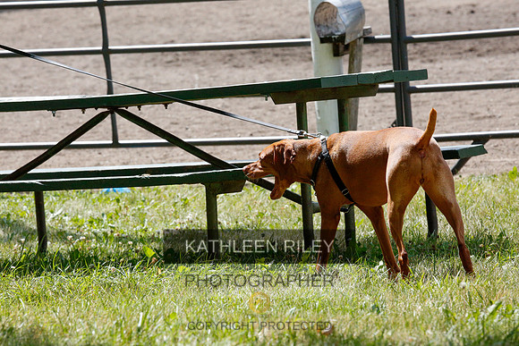 2022-KathleenRileyPhotography-9846