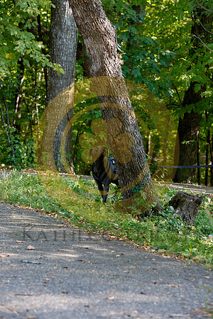 2021-KathleenRileyPhotography-6952