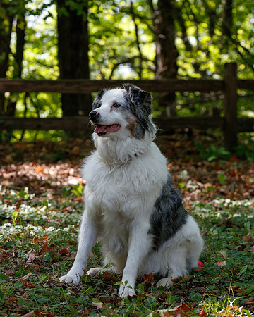 2021-KathleenRileyPhotography-6771
