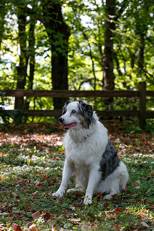 2021-KathleenRileyPhotography-6772