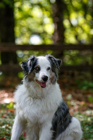 2021-KathleenRileyPhotography-6789