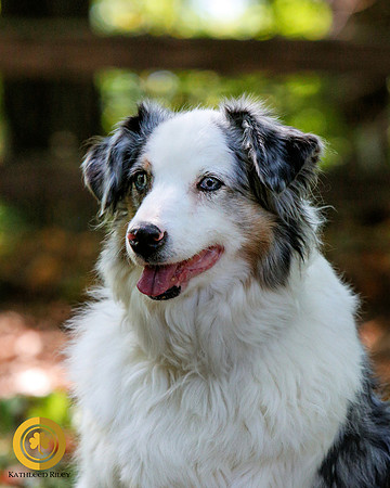 2021-KathleenRileyPhotography-6778-Signed