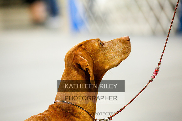 2022-KathleenRileyPhotography-9987