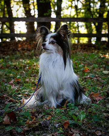 2021-KathleenRileyPhotography-7035