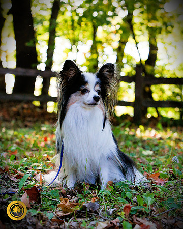 2021-KathleenRileyPhotography-7066-signed-Cora-Papillion