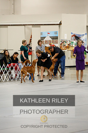 2022-KathleenRileyPhotography-1057
