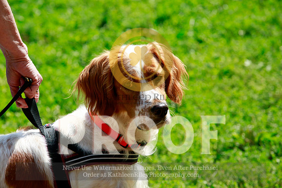 2021-KathleenRileyPhotography-0339