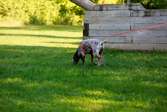 2021-KathleenRileyPhotography-0767