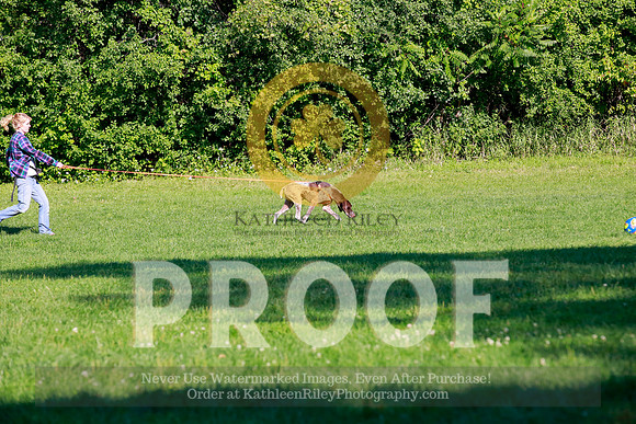 2021-KathleenRileyPhotography-0742