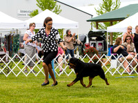 Key City Kennel Club Dog Show 2014