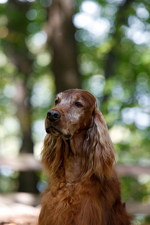 2021-KathleenRileyPhotography-7139
